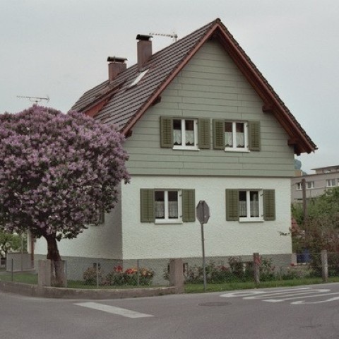 Fassaden bei Bregenz